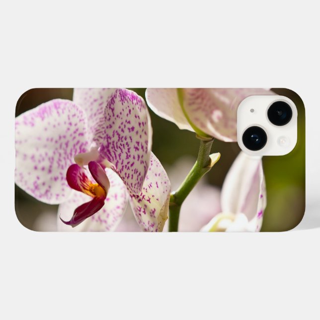 Orchids by Shirley Taylor Case-Mate iPhone Case (Back (Horizontal))