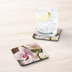 Orchids by Shirley Taylor Coaster