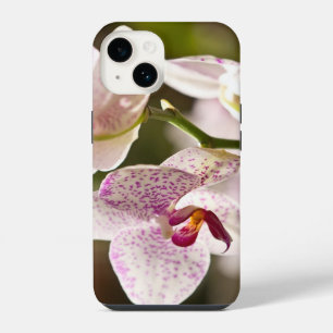 Orchids by Shirley Taylor iPhone 14 Case