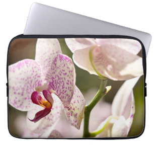 Orchids by Shirley Taylor Laptop Sleeve