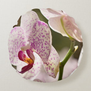 Orchids by Shirley Taylor Round Cushion