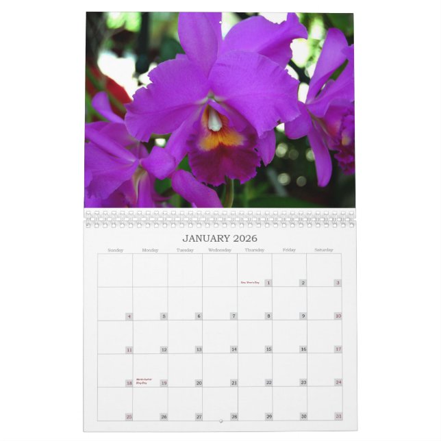 Orchids Calendar (Jan 2026)