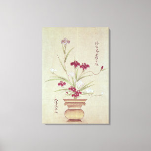 Orchids Canvas Print