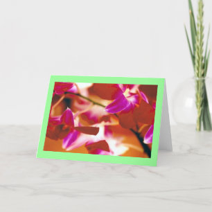 "Orchids" Card