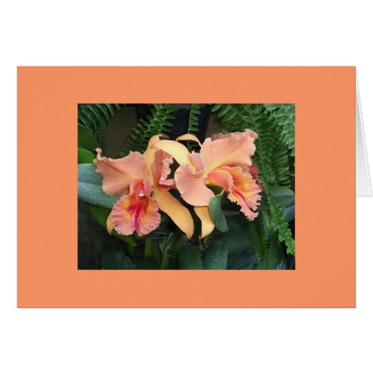 Orchids Card