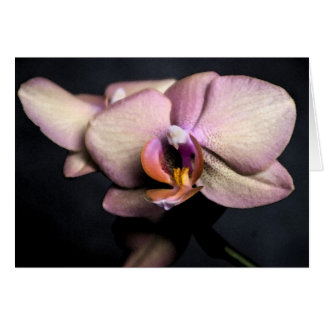 orchids card