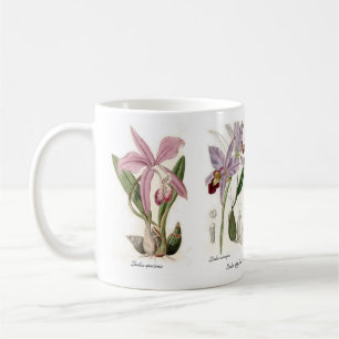 Orchids Coffee Mug