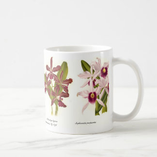 Orchids Coffee Mug
