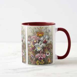 Orchids Ernst Haeckel Fine Art Mug