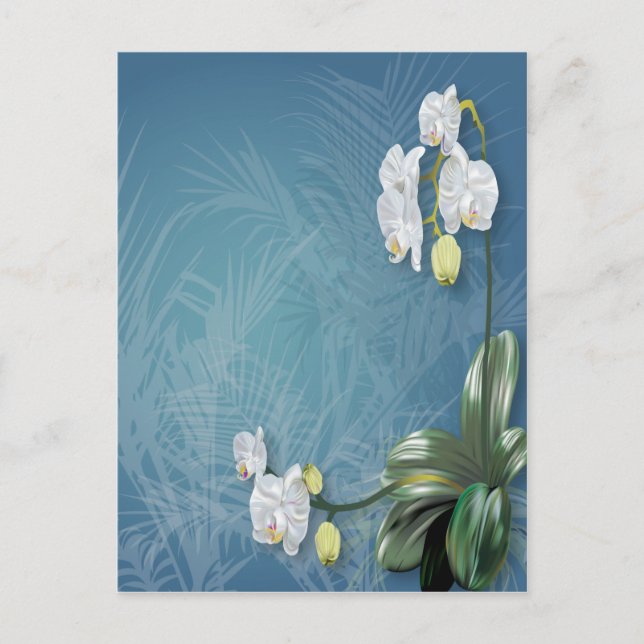 Orchids & Ferns Postcard (Front)