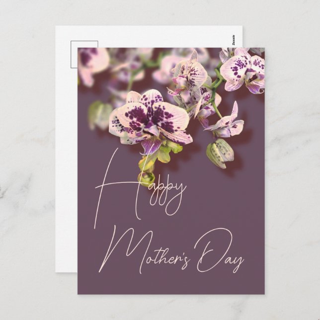 Orchids Floral Happy Mother’s Day      Holiday Postcard (Front/Back)