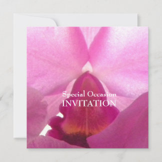 Orchids Flying Wings/All-Occasion Invites