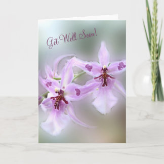Orchids Get Well Soon! Card