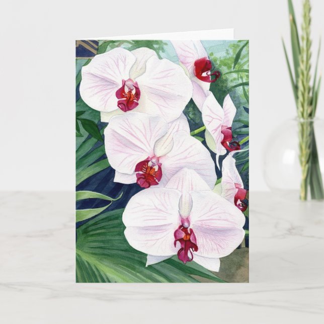 Orchids, greeting card (Front)