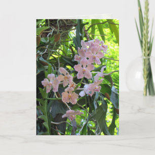 Orchids Greeting Card