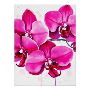 Orchids in Magenta and Purple  Poster