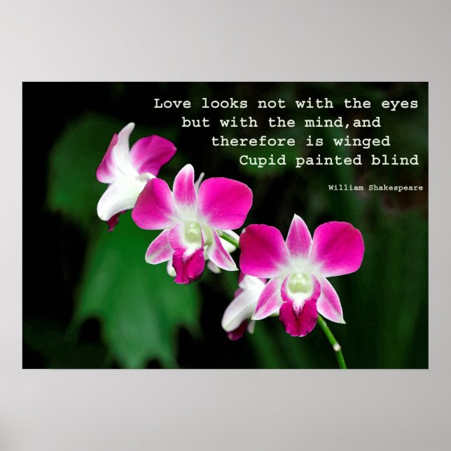 Orchids in Watercolour Poster (Front)