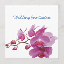 Orchids Inexpensive Wedding Packages Sets Kits