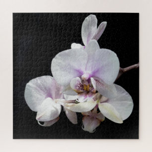 Orchids Jigsaw Puzzle