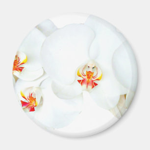 Orchids Love_ Magnet