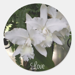 Orchids Love Sticker
