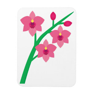 Orchids Magnet