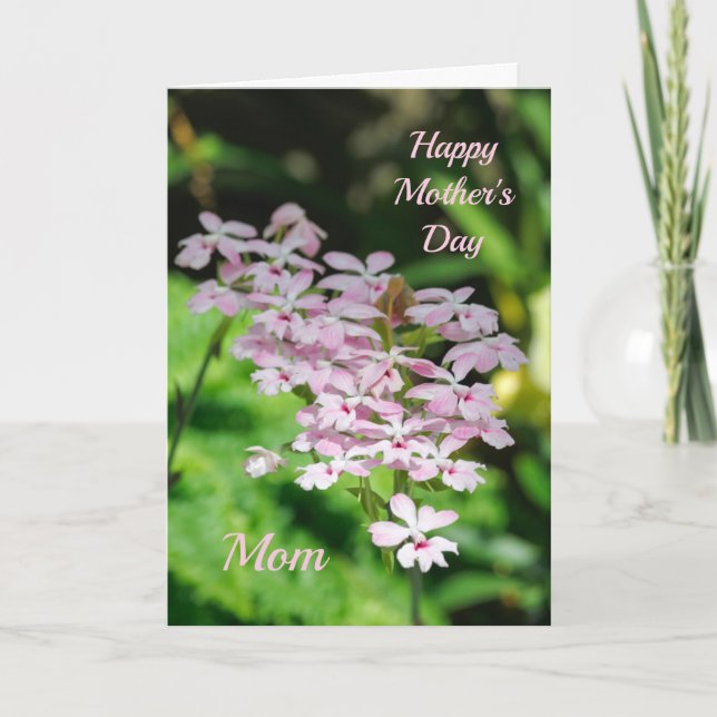 Orchids Mother's Day Card (Front)