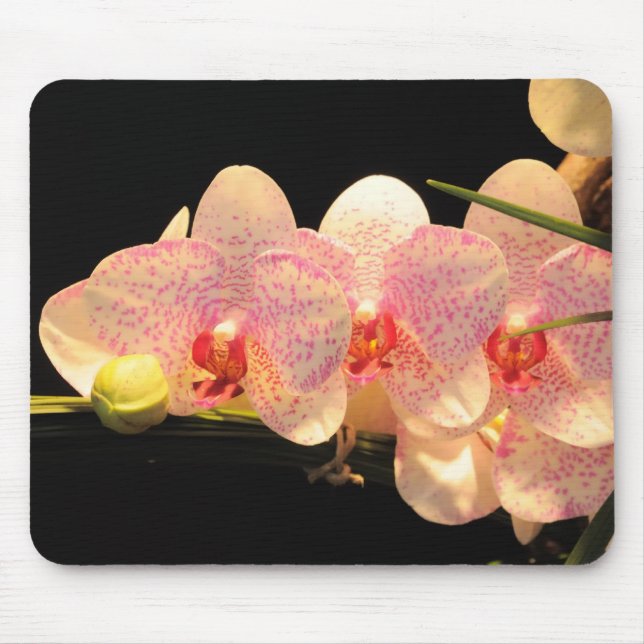 orchids mouse mat (Front)