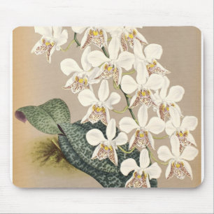 Orchids Mouse Mat