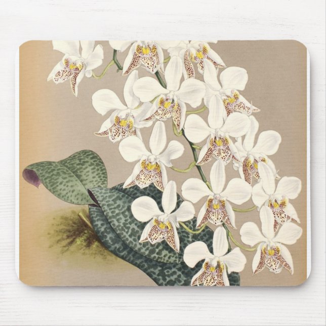 Orchids Mouse Mat (Front)