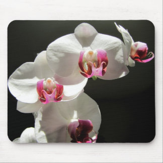 Orchids Mouse Mat