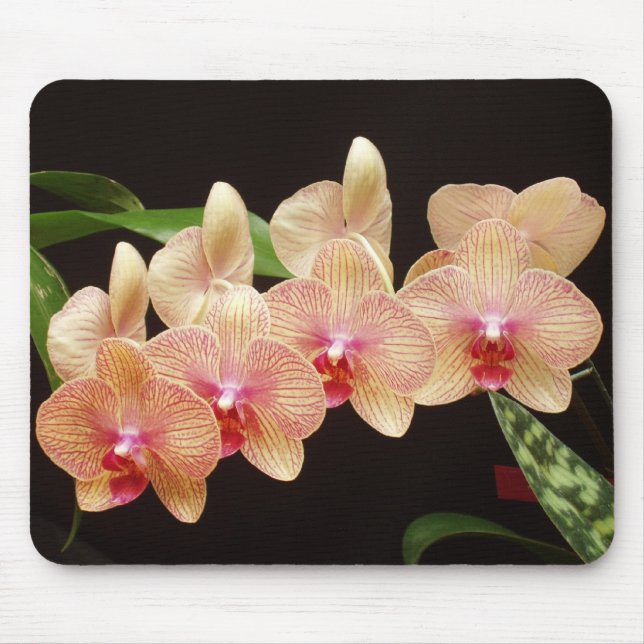 Orchids! Mouse Mat (Front)