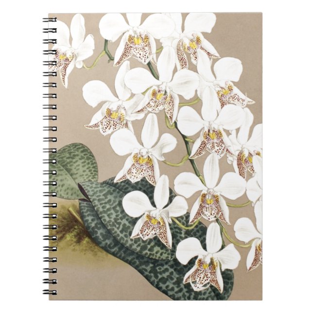 Orchids Notebook (Front)