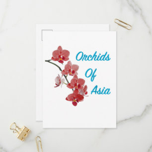 Orchids of Asia Day Spa Invitation Postcard