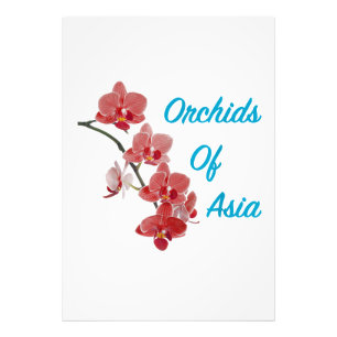 Orchids of Asia Day Spa Photo Print