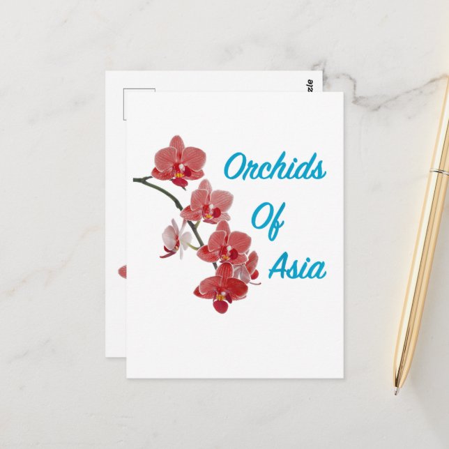 Orchids of Asia Day Spa Postcard (Front/Back In Situ)