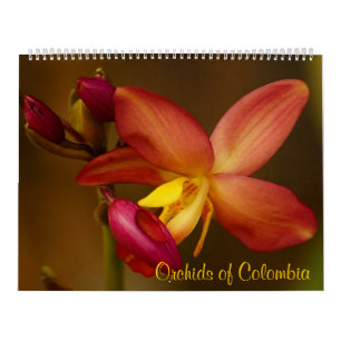 Orchids of Colombia Calendar 2014
