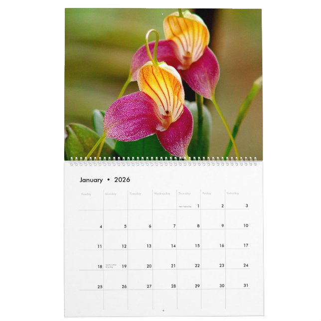 Orchids of Colombia Calendar 2014 (Jan 2026)