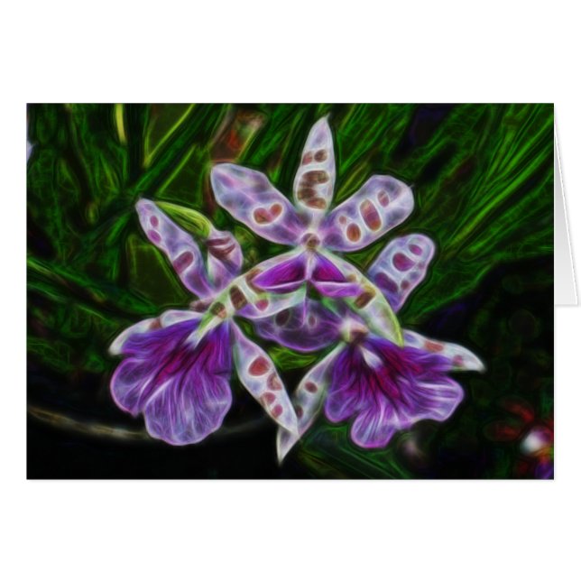 Orchids of Longwood (Front Horizontal)