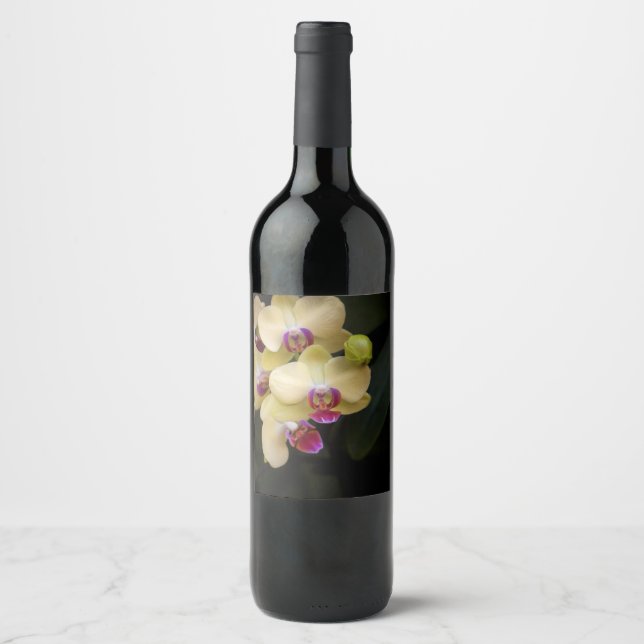 Orchids of pink and yellow wine label (Front)