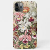 Orchids, Orchideae Denusblumen by Ernst Haeckel