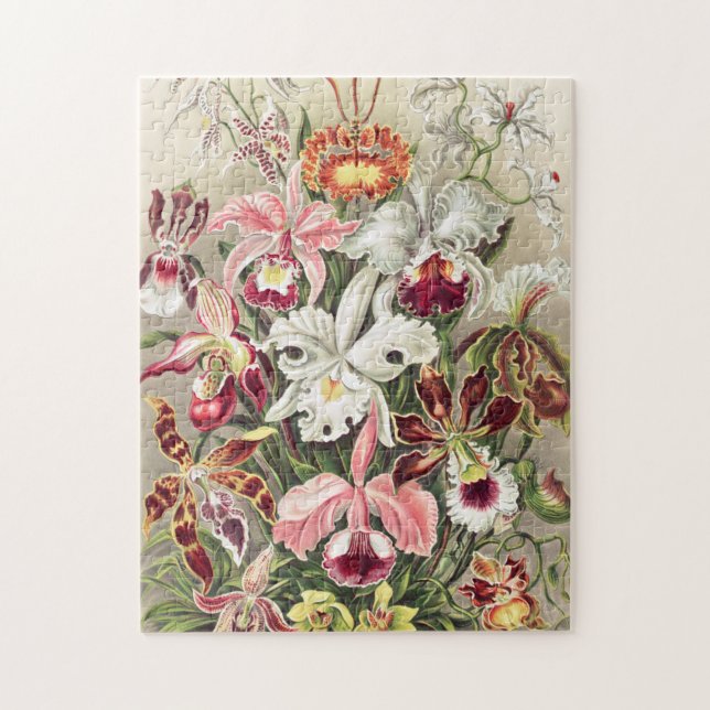 Orchids, Orchideae Denusblumen by Ernst Haeckel Jigsaw Puzzle (Vertical)