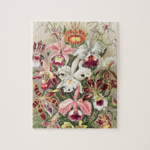 Orchids, Orchideae Denusblumen by Ernst Haeckel Jigsaw Puzzle
