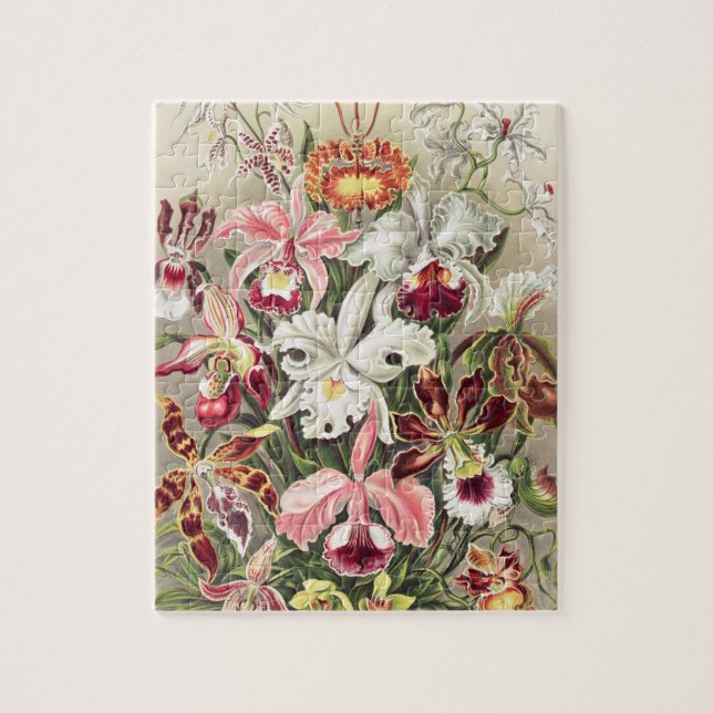 Orchids, Orchideae Denusblumen by Ernst Haeckel Jigsaw Puzzle (Vertical)