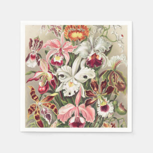 Orchids, Orchideae Denusblumen by Ernst Haeckel Napkin