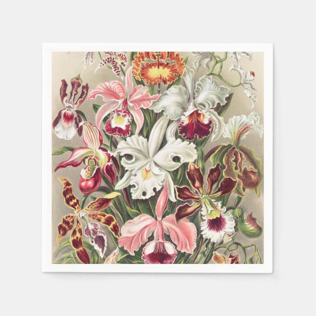 Orchids, Orchideae Denusblumen by Ernst Haeckel Napkin (Front)
