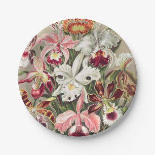 Orchids, Orchideae Denusblumen by Ernst Haeckel Paper Plate