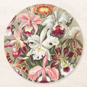 Orchids, Orchideae Denusblumen by Ernst Haeckel Round Paper Coaster