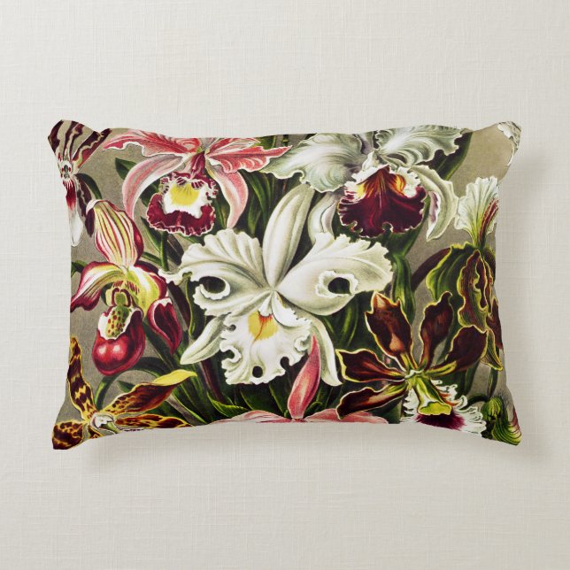 Orchids, Orchideae Denusblumen Ernst Haeckel  Decorative Cushion (Front)