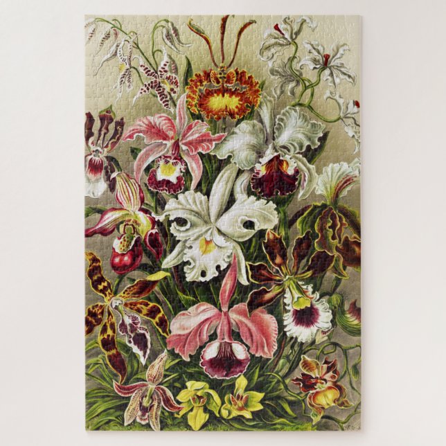 Orchids, Orchideae Denusblumen Ernst Haeckel Jigsaw Puzzle (Vertical)